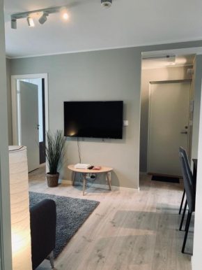 Downtown Bergen apartment